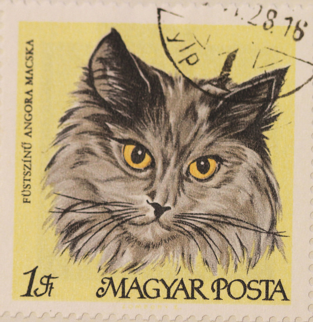 A cat on a Hungarian stamp